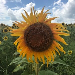 Meet your Posher, Beth